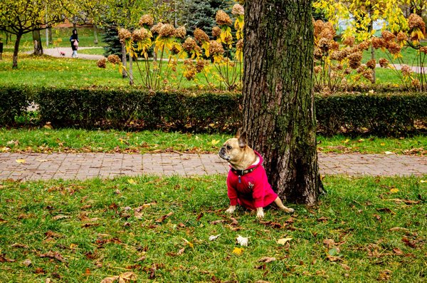 Unlocking inner peace: the effects of mindfulness meditation on reducing symptoms of generalized anxiety disorder